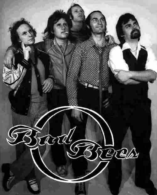 Shine On - Photo courstesy of John Voelker