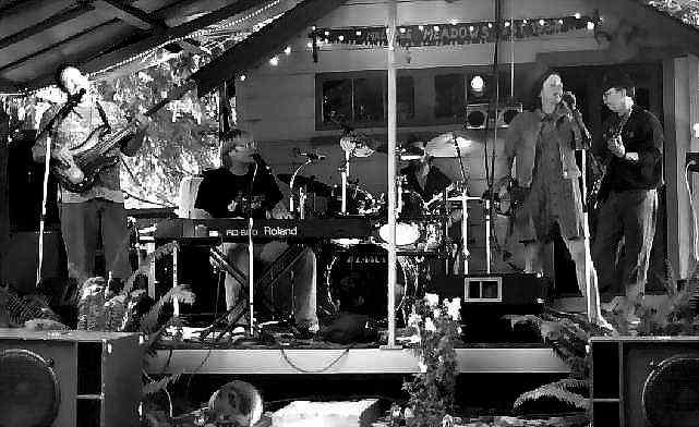 Blues Alliance - Photo by and Courtesy of Sam Carlson