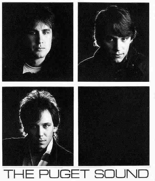 The Puget Sound - Image courtesy of Rick Hines