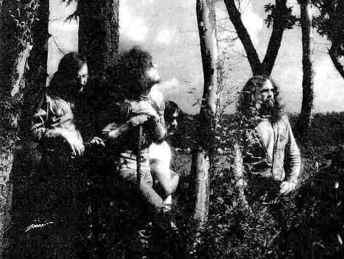 Timber - Photo courtesy of Kris Larson