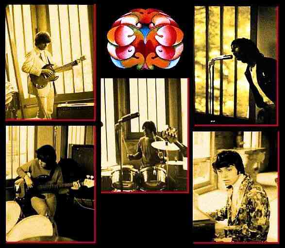 Images Courtesy of Bruce Hauser